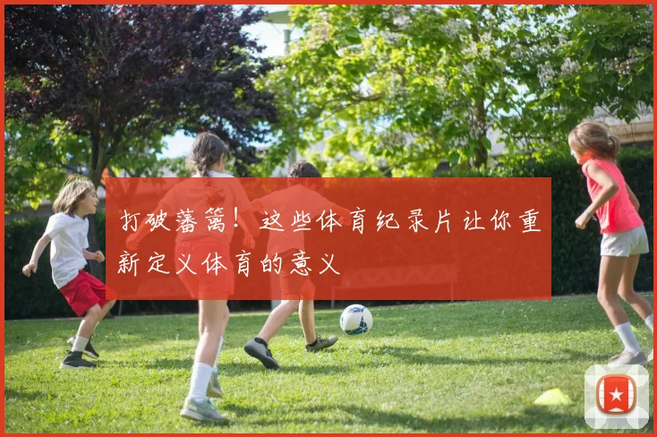 打破藩篱！这些体育纪录片让你重新定义体育的意义