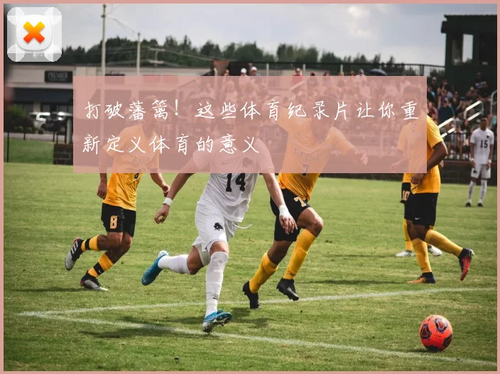 打破藩篱!这些体育纪录片让你重新定义体育的意义